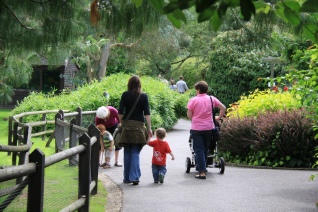 Walking through bird world in Surrey