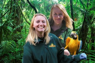 Parrot at Bird world