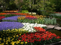 Colourful borders at Kew gardens