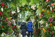 Walk through the exotic plants at Kew garden