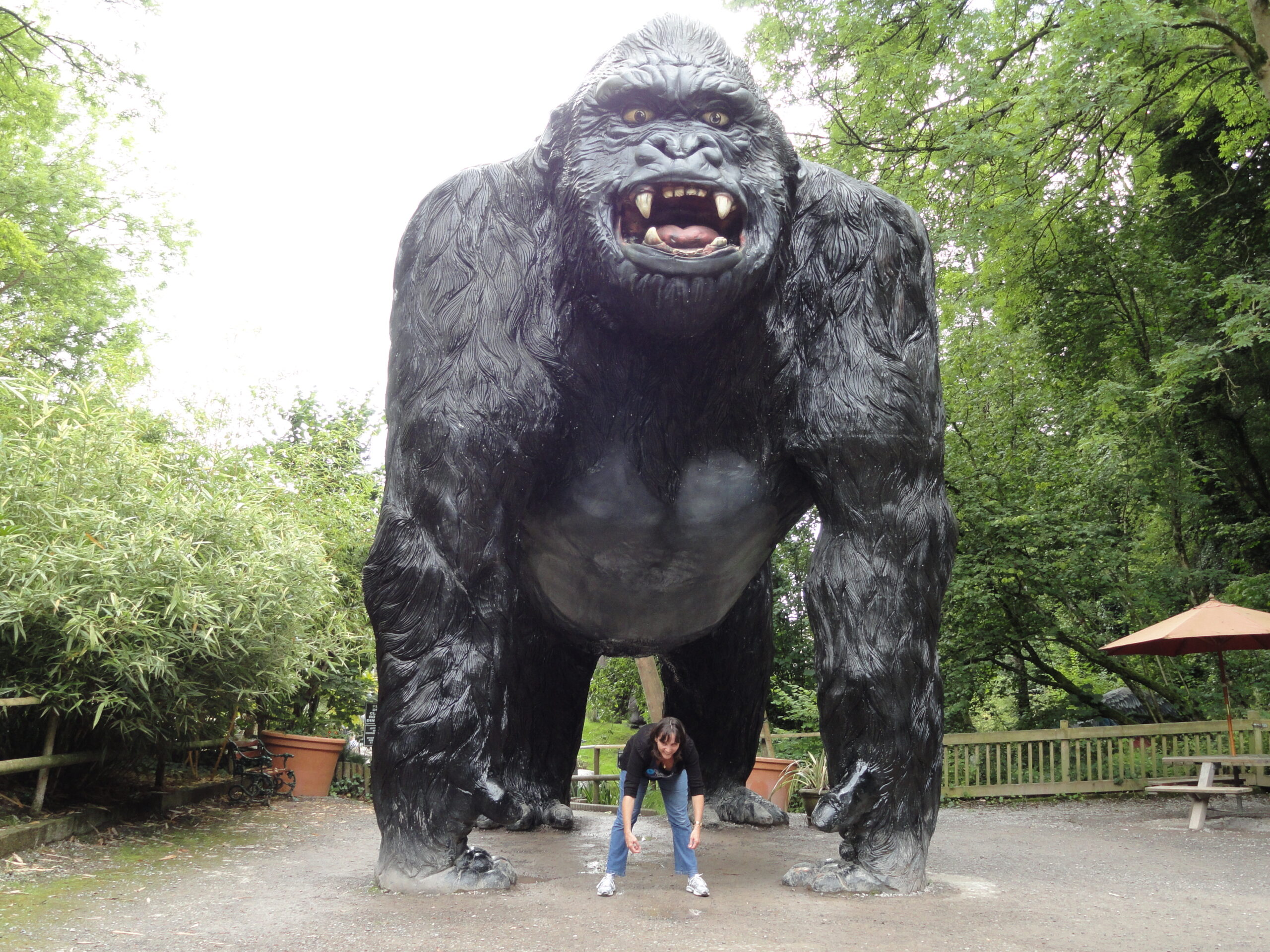 DSC01806 Wookey Hole