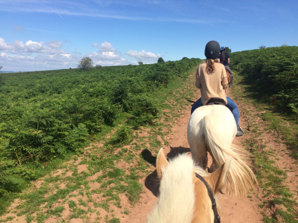 Horse riding mendip hills Horse riding in the Mendip Hills
