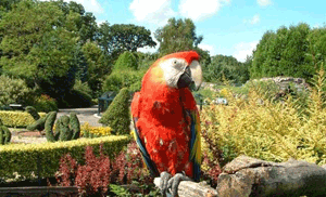 bird-world-1 Bird World