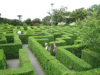 blackgang-chine-3 Blackgang Chine maze