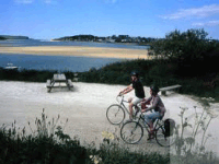 Camel Trail