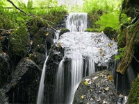 canonteign-falls Canonteign Falls