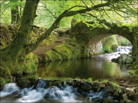 exmoor-national-park-2 Stream running through Exmoor National Park