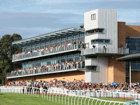 Fontwell Park Racecourse