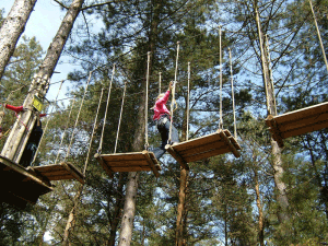 go-ape-1 Go Ape