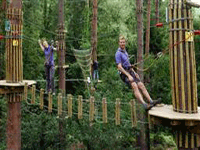 go-ape-moors-valley-2 Go Ape high wire