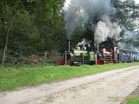 Hollycombe steam train
