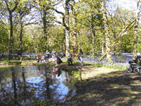 Knockhatch adventure park