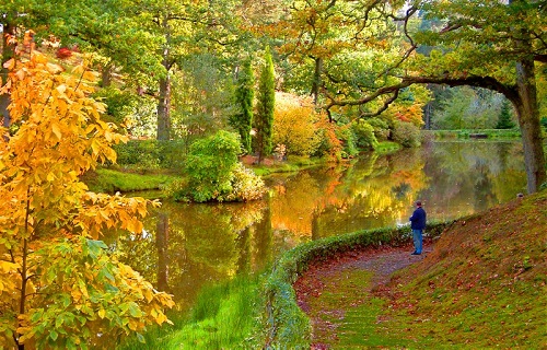 Leonardslee Garden