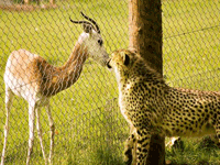 marwell-zoo-1 Marwell Zoo