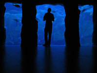 national-marine-aquarium-plymouth-2 National Marine Aquarium in Plymouth