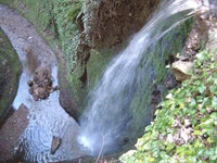 shanklin-chine-1 Shanklin Chine waterfall