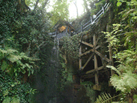 shanklin-chine Shanklin Chine bridge