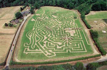 Tullys Maize Maze