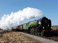water-cress-line Water Cress Railway line