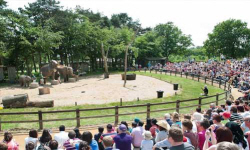 whipsnade-zoo-demonstration Demonstration at Whipsnade Zoo