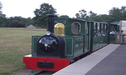 woburn-safari-park-train Train ride at Woburn safari park