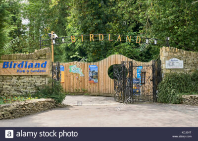 Birdland entrance