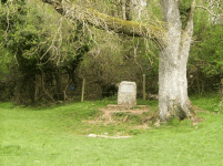 The Source of the River Thames