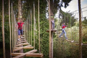 Go Ape - Moors Valley Country Park