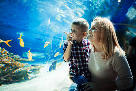 Blue Reef Aquarium - Cornwall