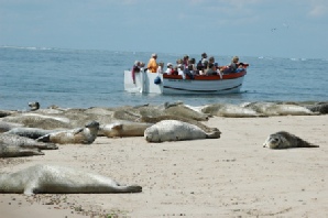 Scenic Boat Cruises & sightseeing trips in Devon