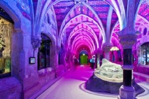 Brighton Sealife Centre