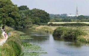 Chichester Canal Trips