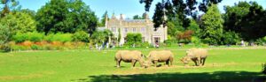 Cotswold Wildlife Park & Gardens