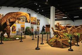 Dinosaur Museum - Dorset
