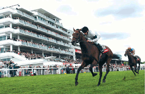 Epsom Race Course - Surrey