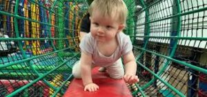 Farmer Palmer's Farm Park - Poole