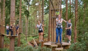 Go Ape - Haldon Forest Park