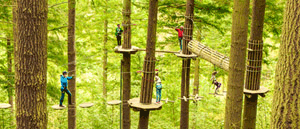 Go Ape - Alice Holt Woodland Park
