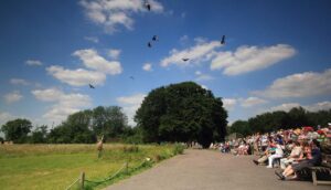 Hawk Conservancy - Hampshire