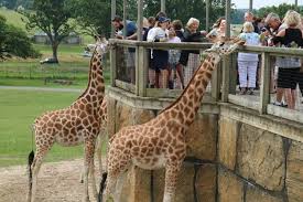 Longleat Safari Park