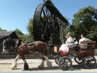 Morwellham Quay - Devon