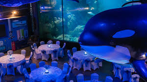 National Marine Aquarium - Devon