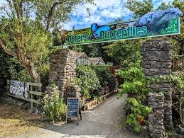 Dartmoor Otters & Buckfast Butterflies Sactuary