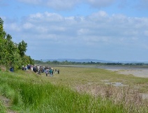 Pagham Harbour