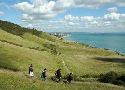 South Down Way