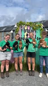 Totnes Rare Breeds Farm