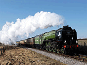 Scenic Water Cress Railway Line