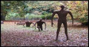 Winkworth Arboretum - Goldalming