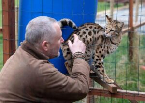 Ark Wildlife and Dinosaur Park