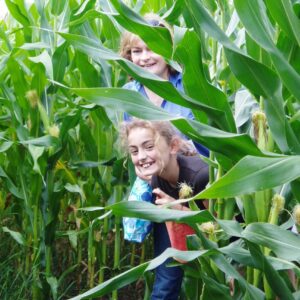 Barnsley Maize Maze (Seasonal)